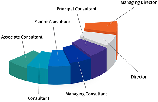 Consulting-Career-Path_ss1416965915.jpg